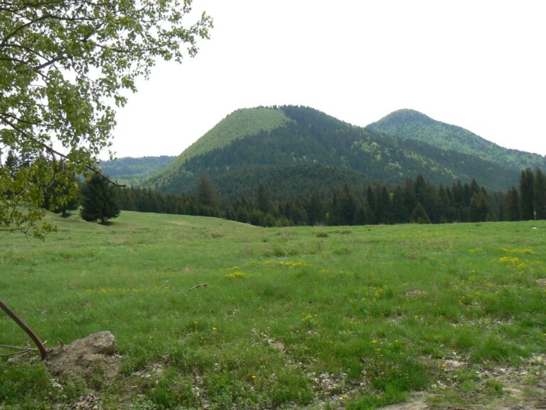 Helyszín