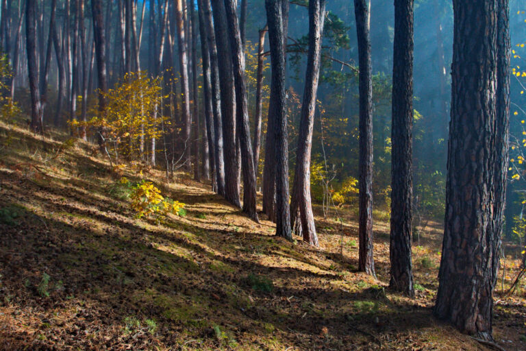 11 Szent Anna-kápolnák – zarándoktúra