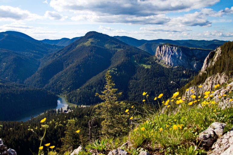 12 Gyilkos-kő körtúra